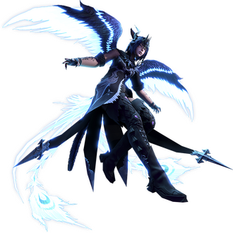 Basic Transparent + Basic Fidelity $40